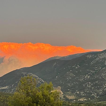 Les Terrasses Du Ventoux Apartment Mollans-sur-Ouvèze Екстериор снимка
