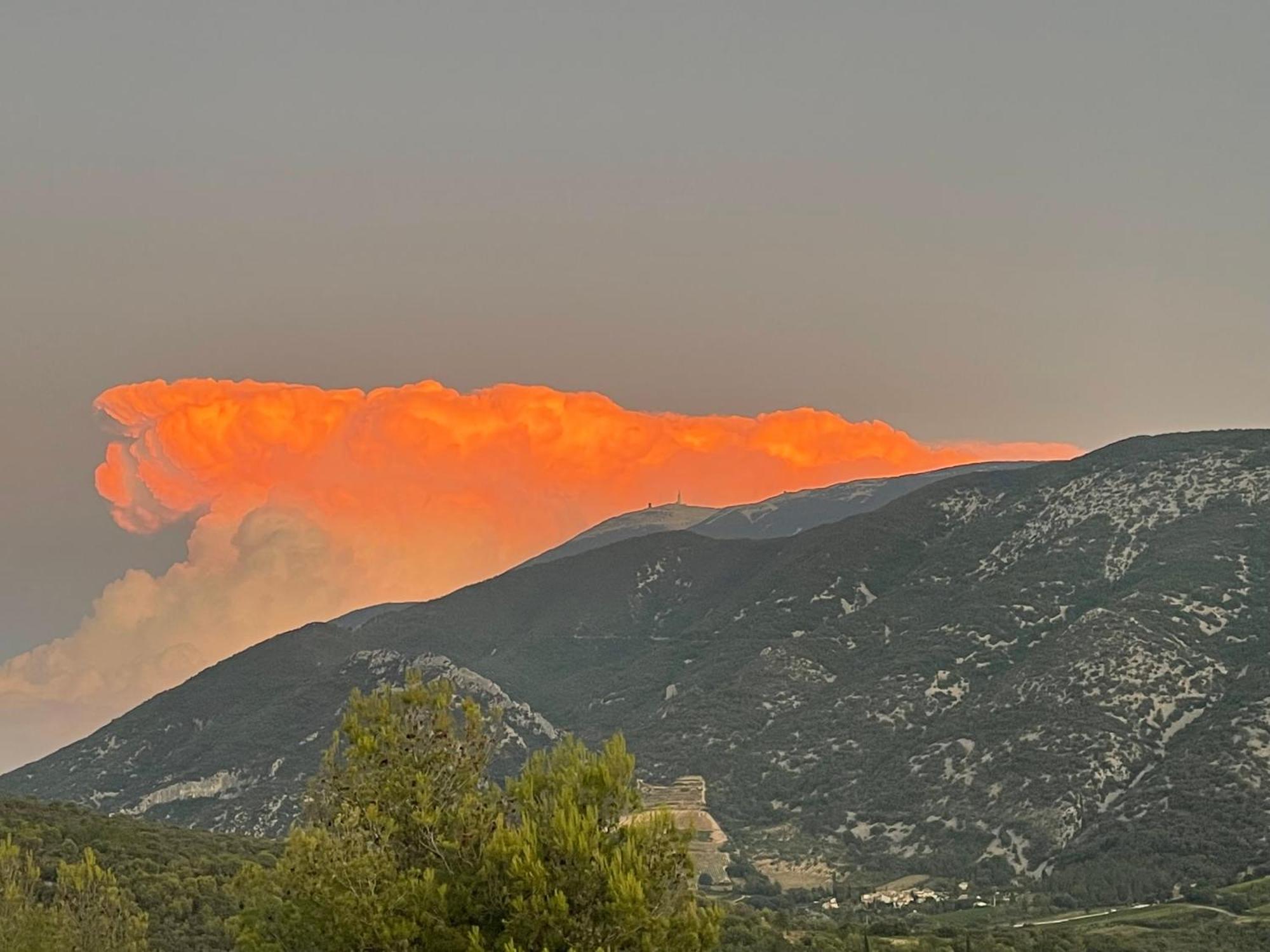 Les Terrasses Du Ventoux Apartment Mollans-sur-Ouvèze Екстериор снимка